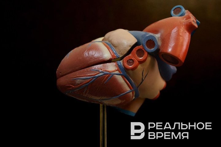 Антон Гарин: «Такие больницы, как наша, должны жить. Но их надо развивать»