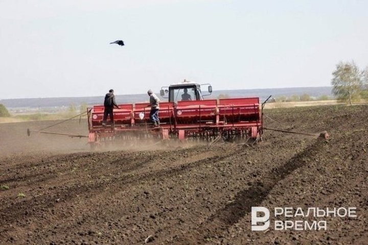 Айдар Сайфуллин: «Без госпрограмм рынок упал бы еще сильнее»