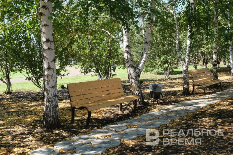 Рецепты успеха сельского бизнеса: переработка, туризм, кооперация с городом